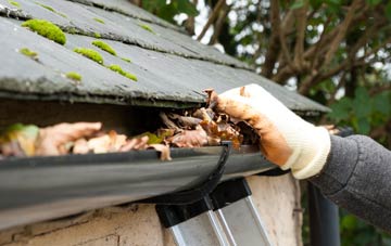 gutter cleaning Nyewood, West Sussex