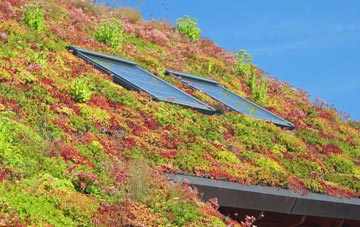 Nyewood living roof systems